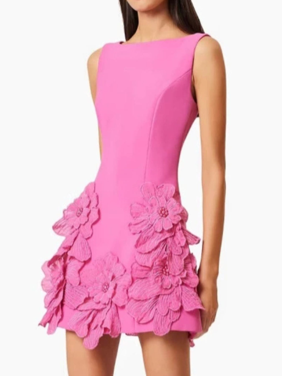 Floréa | Appliqué Detail Mini Dress