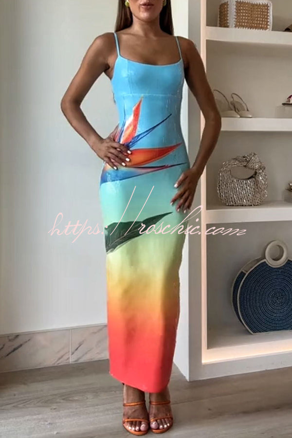 Soléa | Sunset Maxi Dress