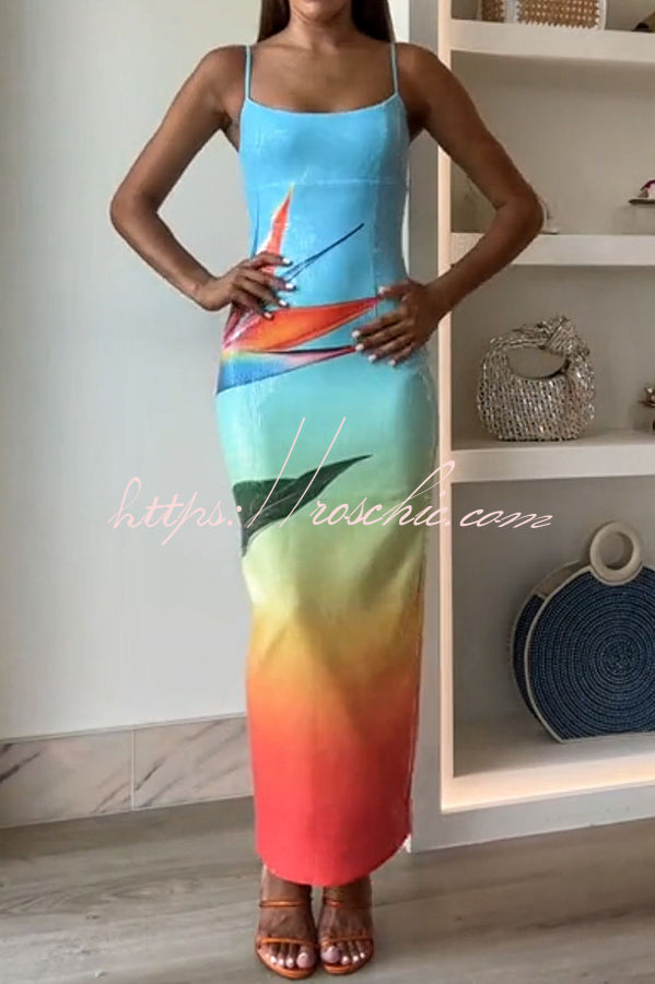 Soléa | Sunset Maxi Dress