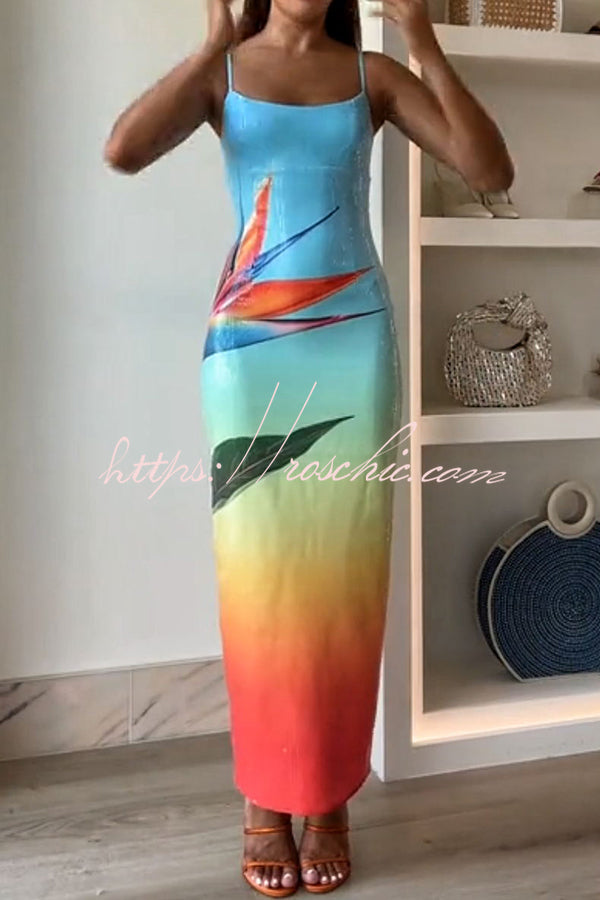 Soléa | Sunset Maxi Dress