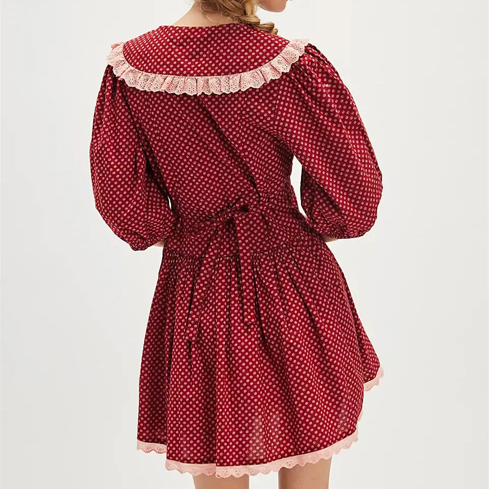 Lowie | Lace Collar Mini Dress