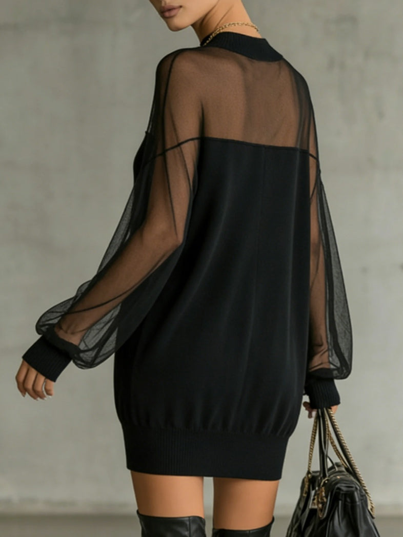 Muri | Sheer Mesh Sleeve Mini Dress