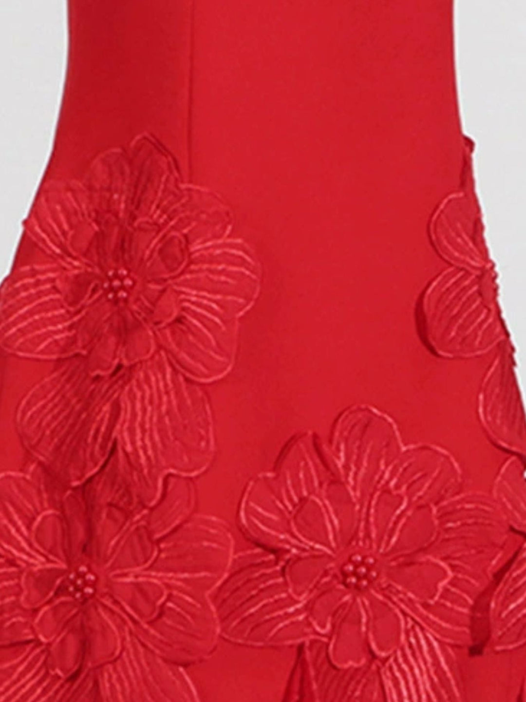 Floréa | Appliqué Detail Mini Dress