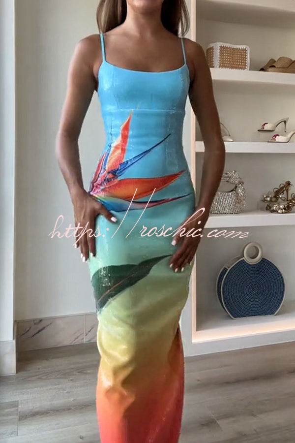 Soléa | Sunset Maxi Dress