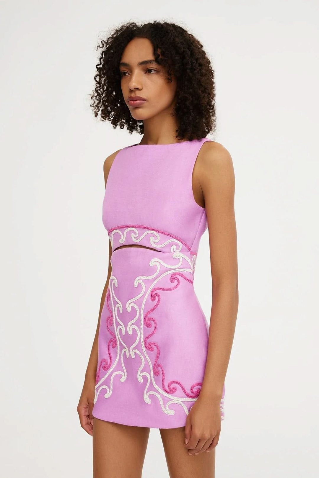 Lana | Embroidered Cut-Out Mini Dress